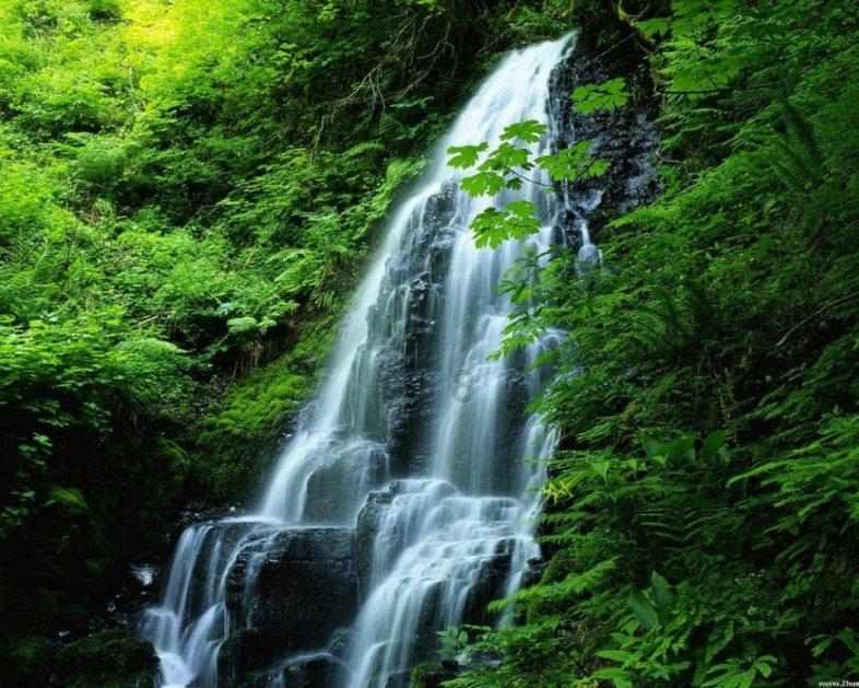 我们应该怎样遵循注重行为规律？